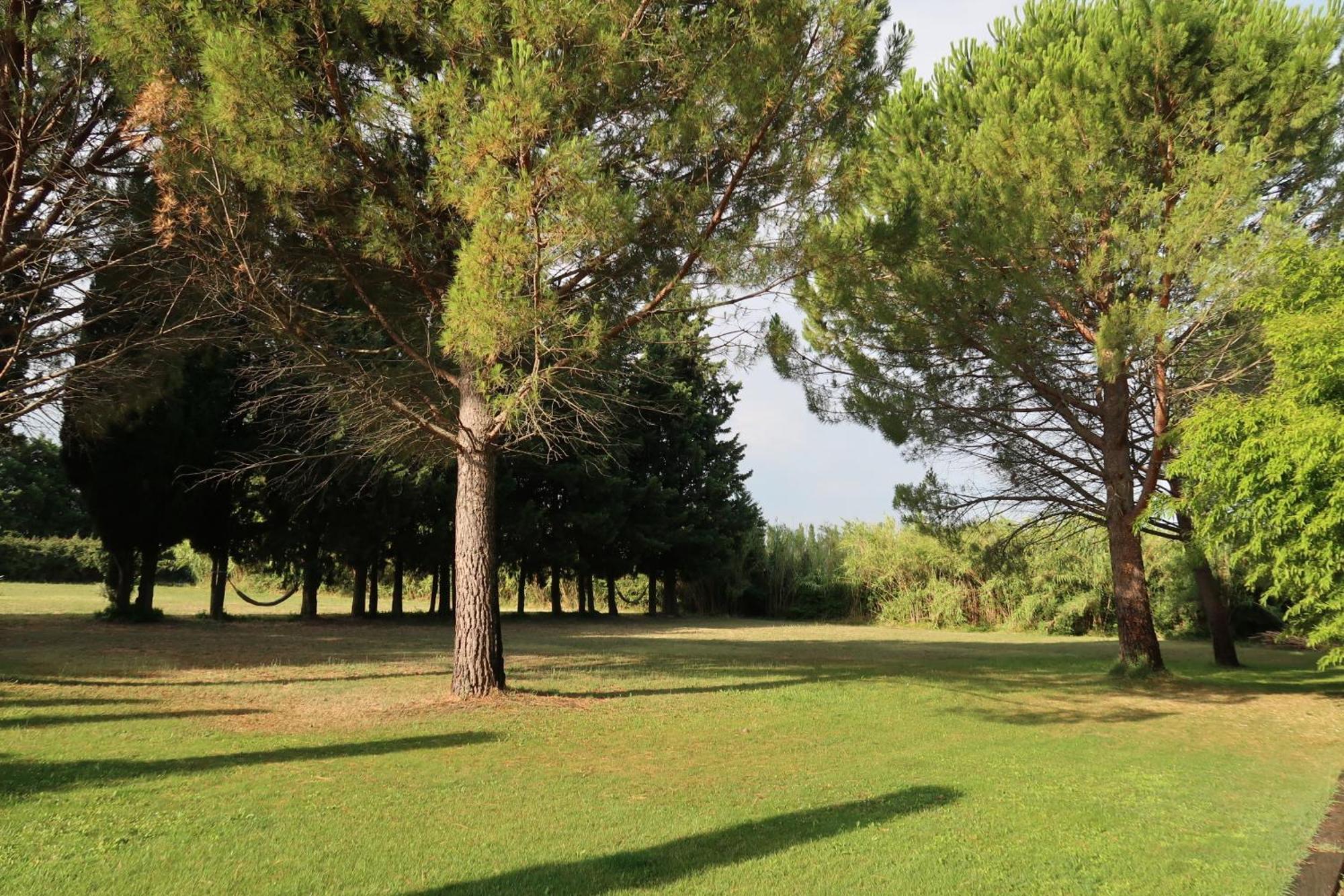 Saint-Rémy-de-Provence马斯拉波琳迷人旅馆&大篷车别墅 外观 照片