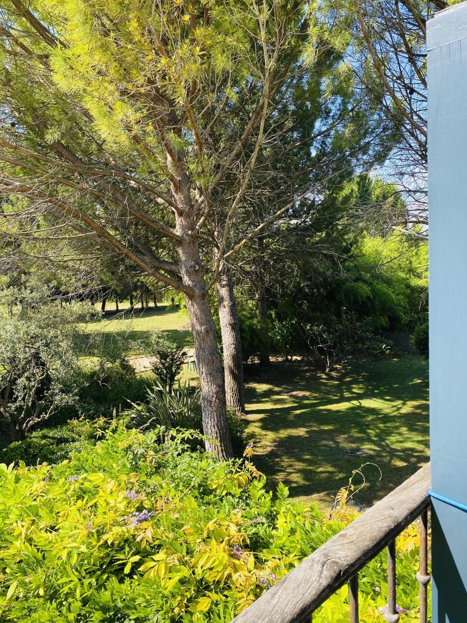 Saint-Rémy-de-Provence马斯拉波琳迷人旅馆&大篷车别墅 客房 照片
